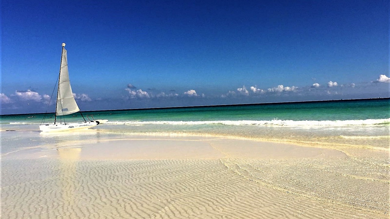 Photo of Others in Playacar