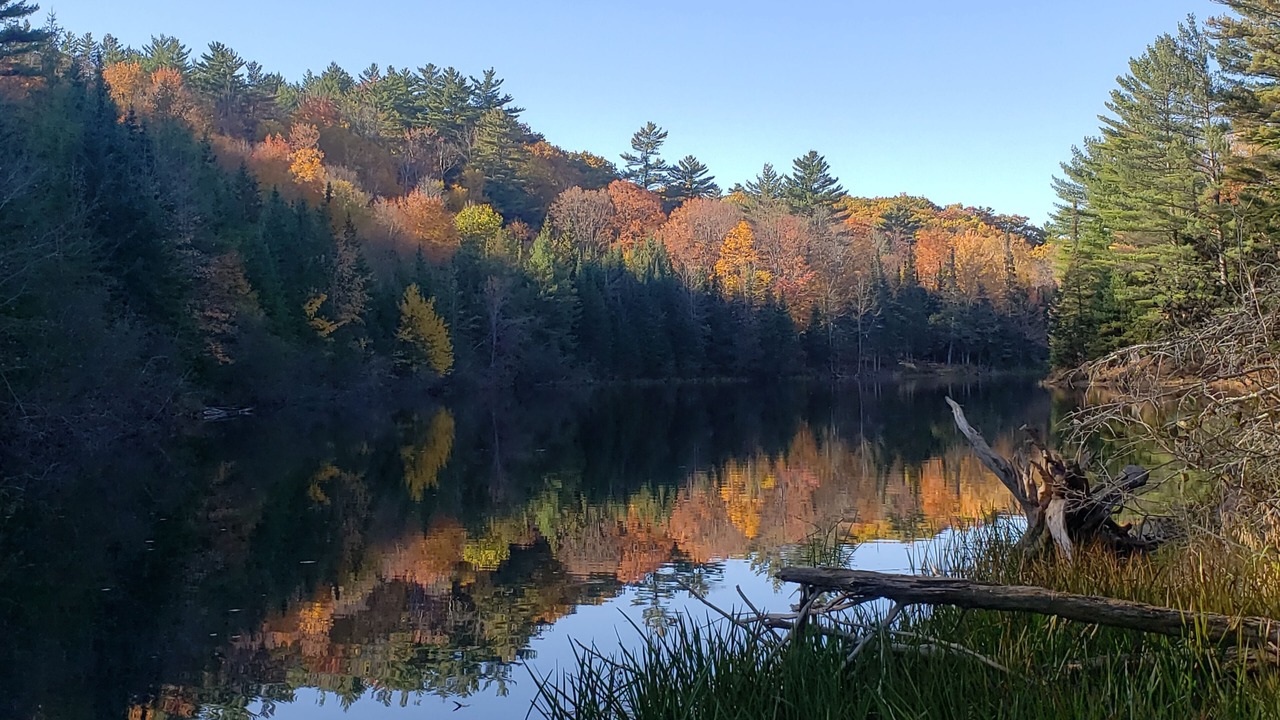 Photo of Outdoor in Woodsville