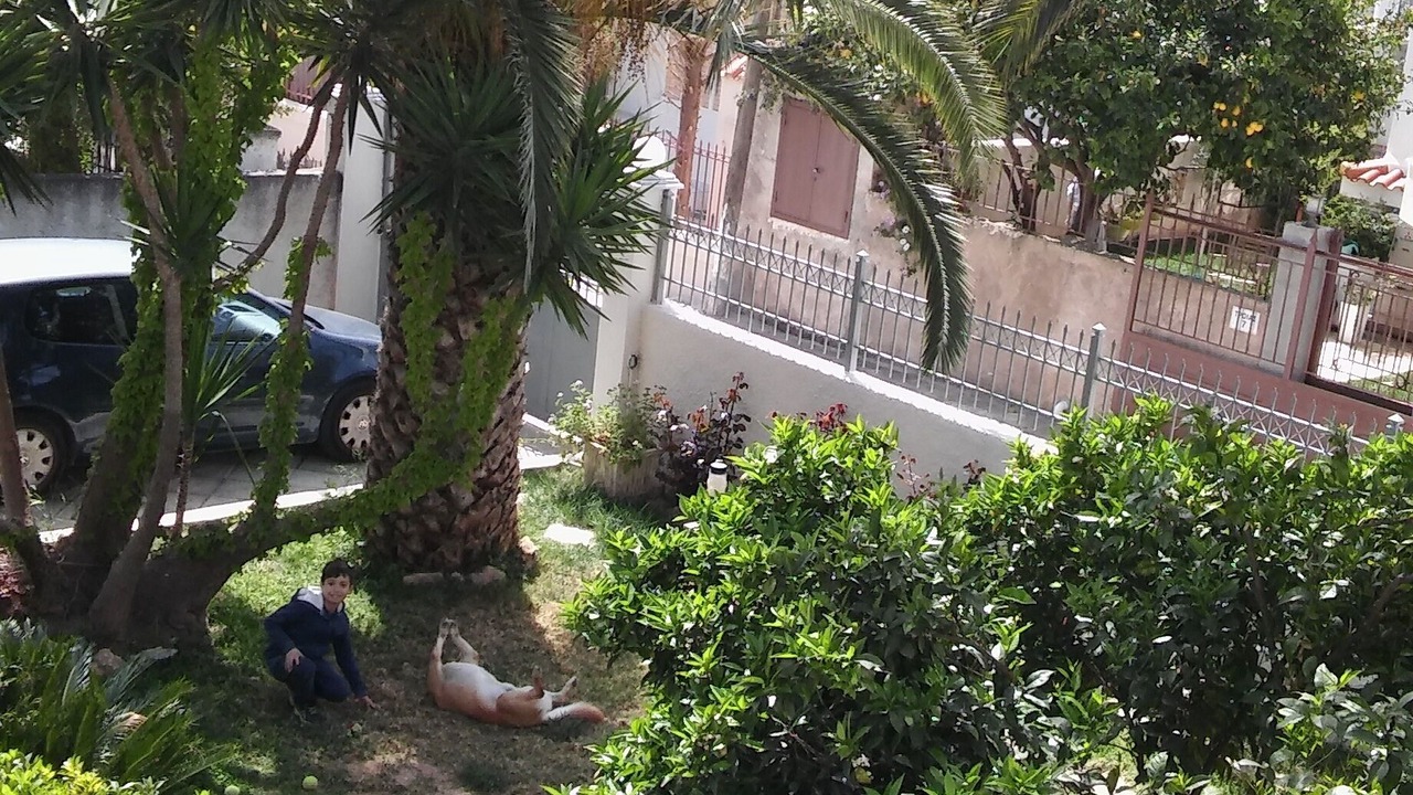 Photo of Outdoor in Spata-Artemida