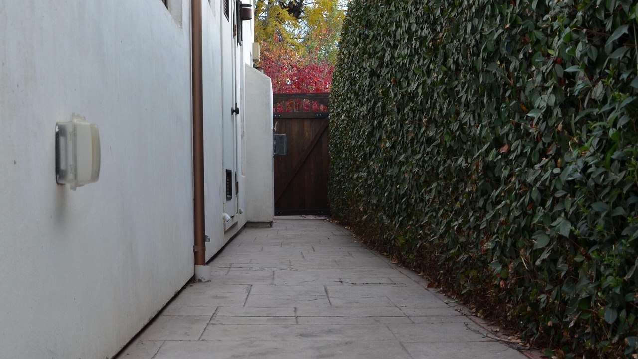 Photo of Others in Mountain View