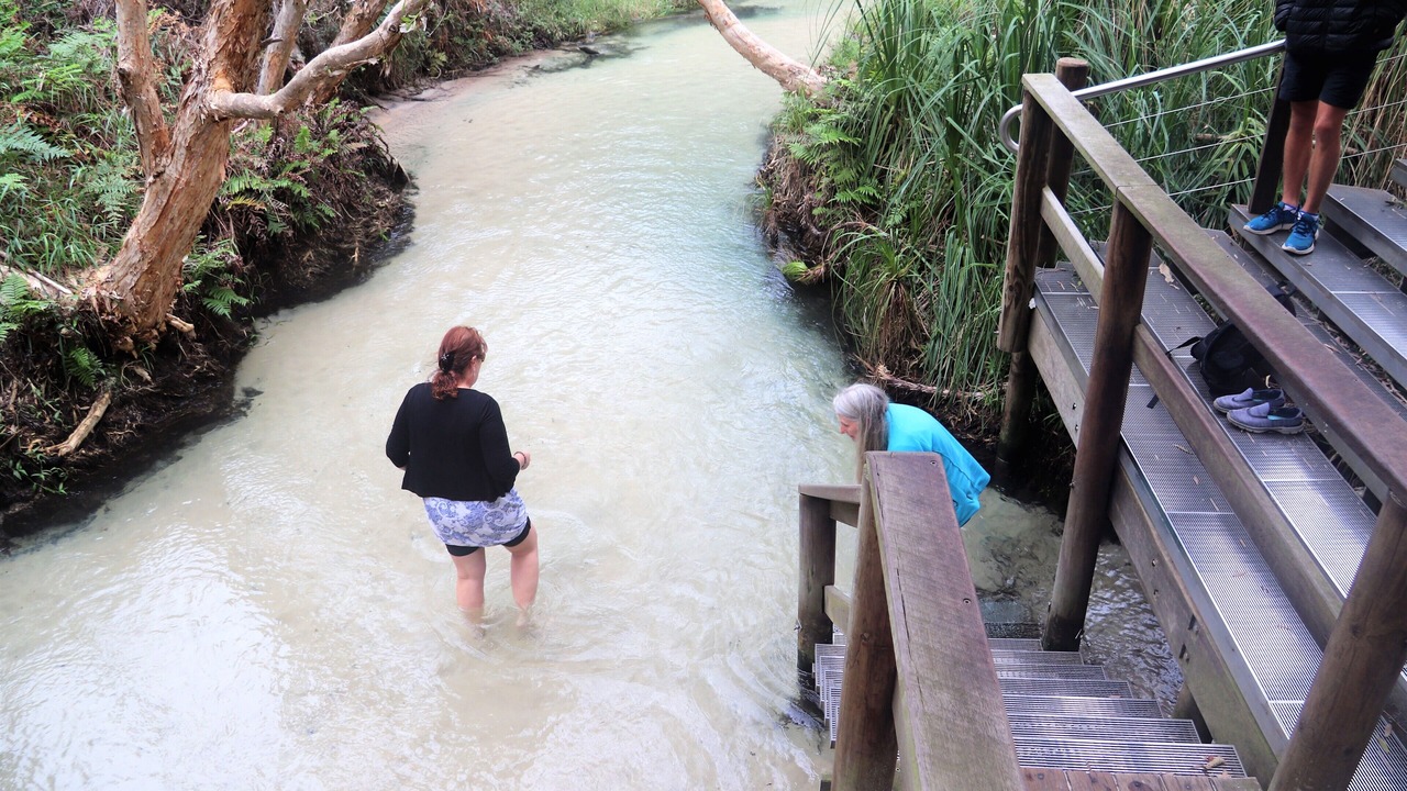 Photo of Others in Kingfisher Bay
