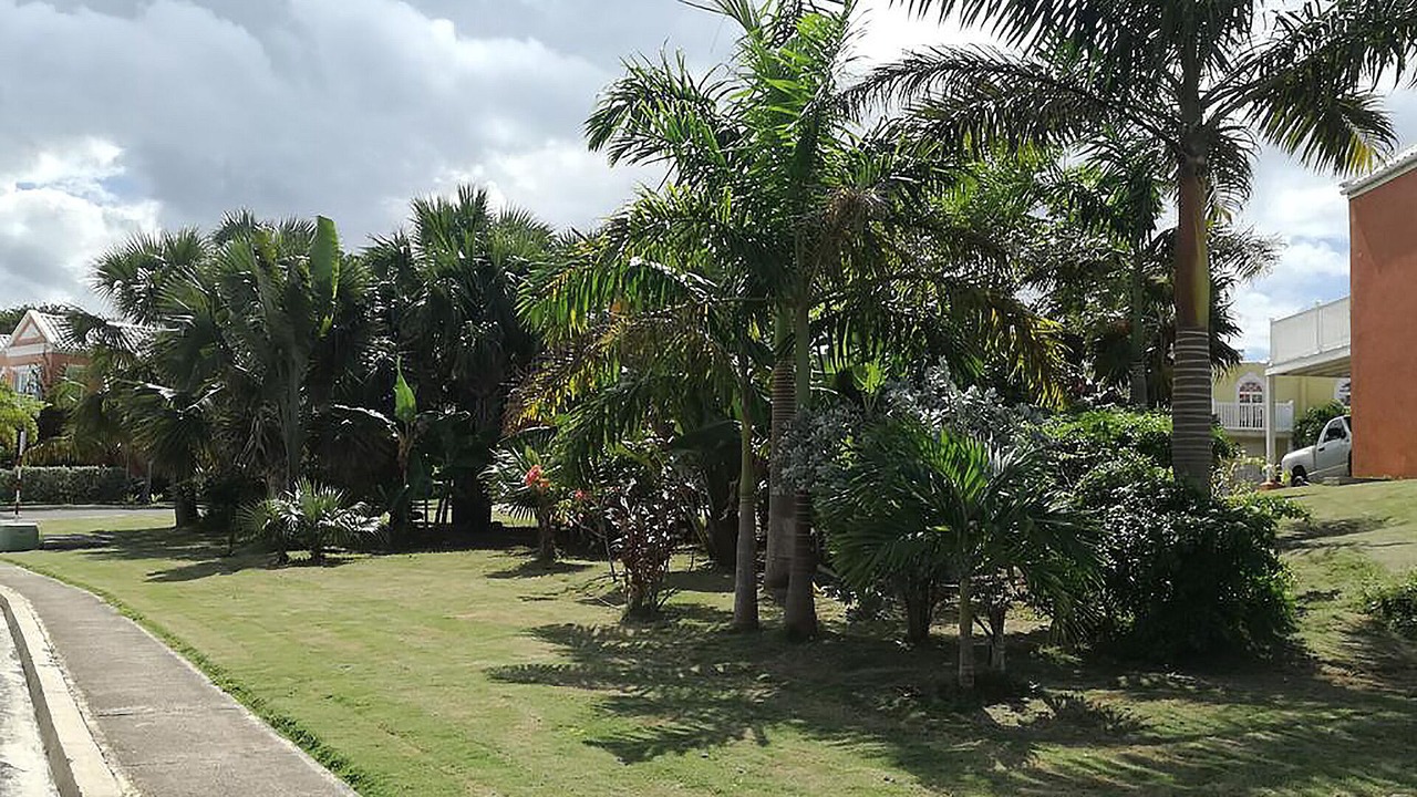 Photo of Outdoor in Little Bay