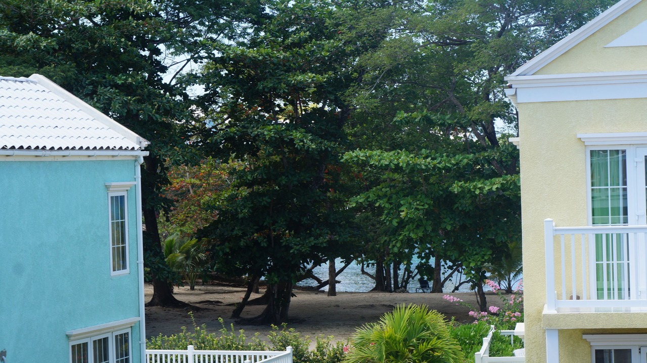 Photo of Outdoor in Little Bay