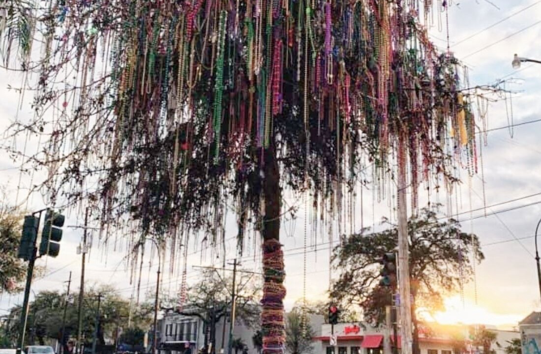 Photo of Others in French Quarter
