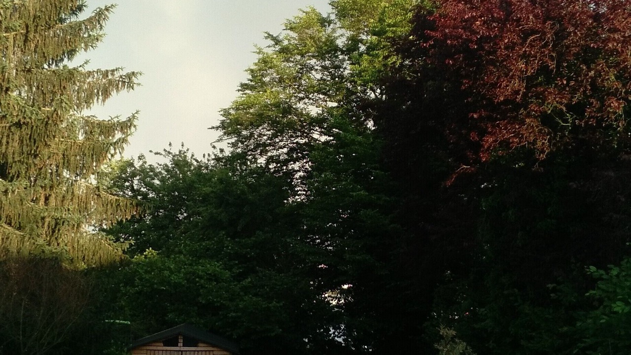 Photo of Outdoor in Unterboihingen
