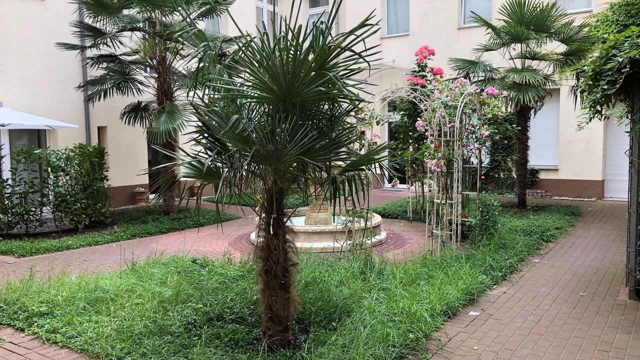 Photo of Outdoor in Moabit
