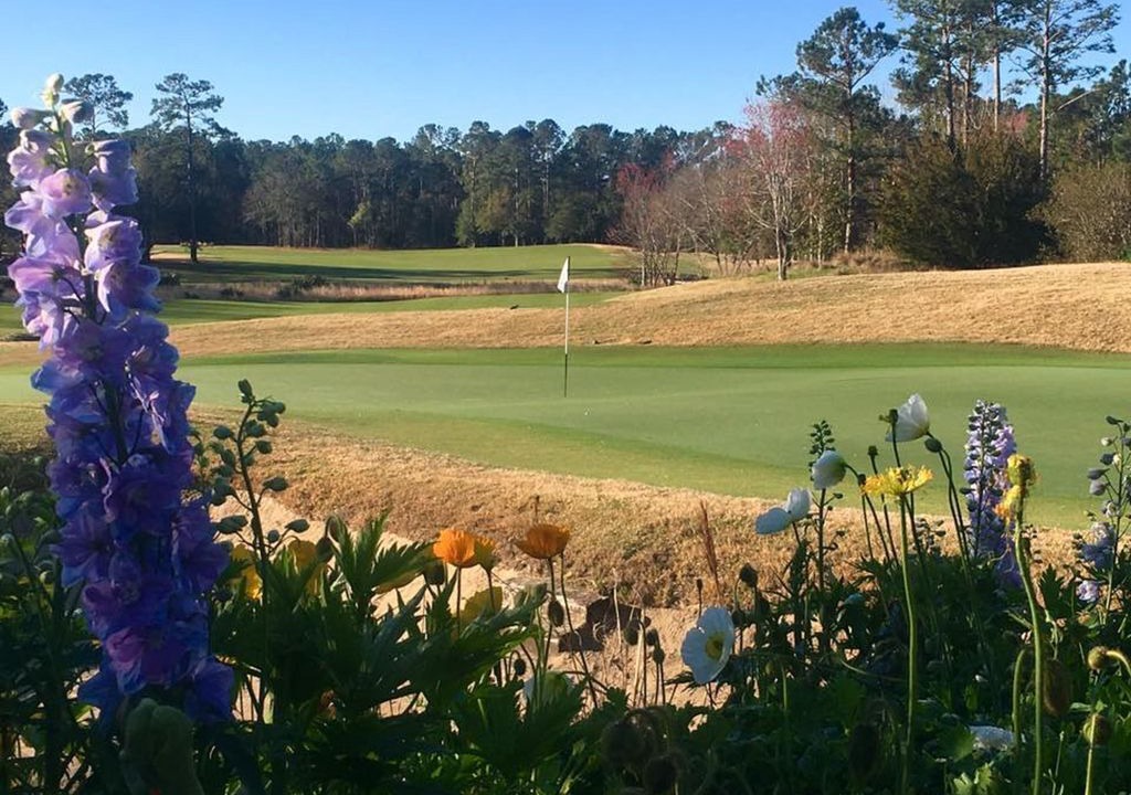Photo of Others in Pawleys Island