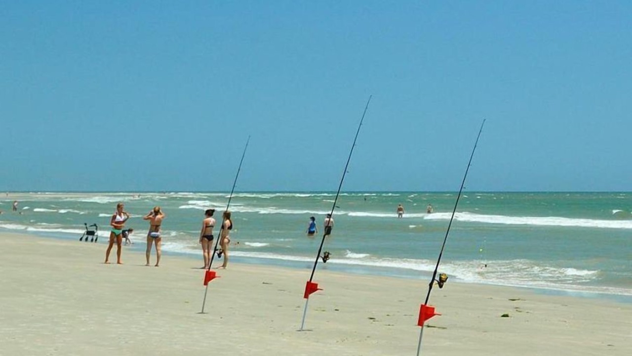Photo of Others in Pawleys Island