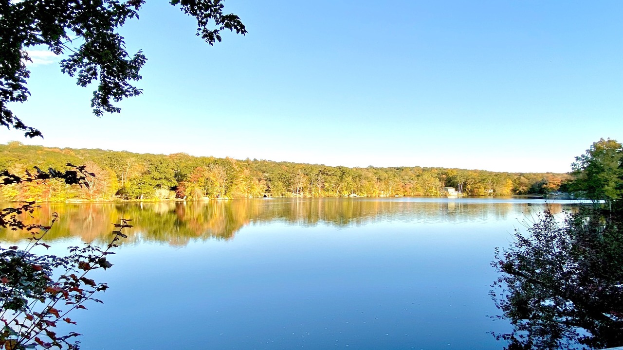 Photo of Others in Ledyard
