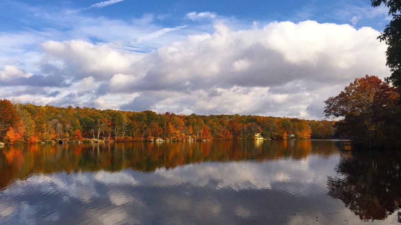 Photo of Others in Ledyard