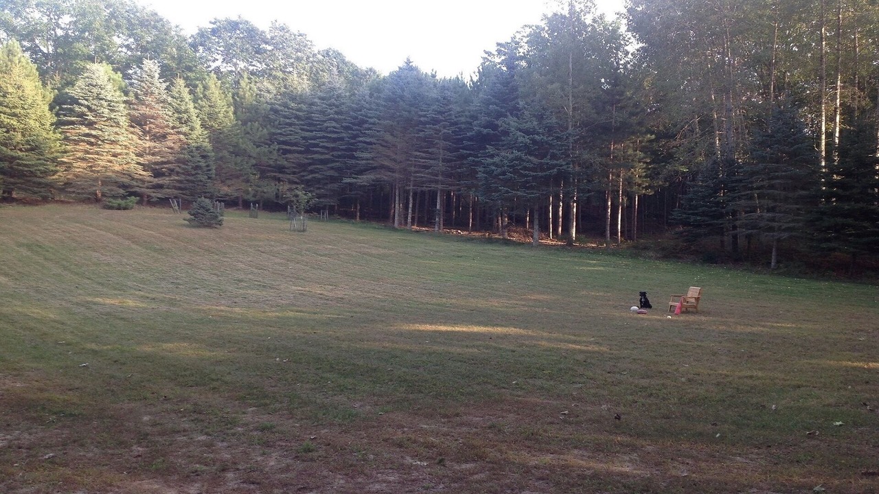 Photo of Others in Manistee