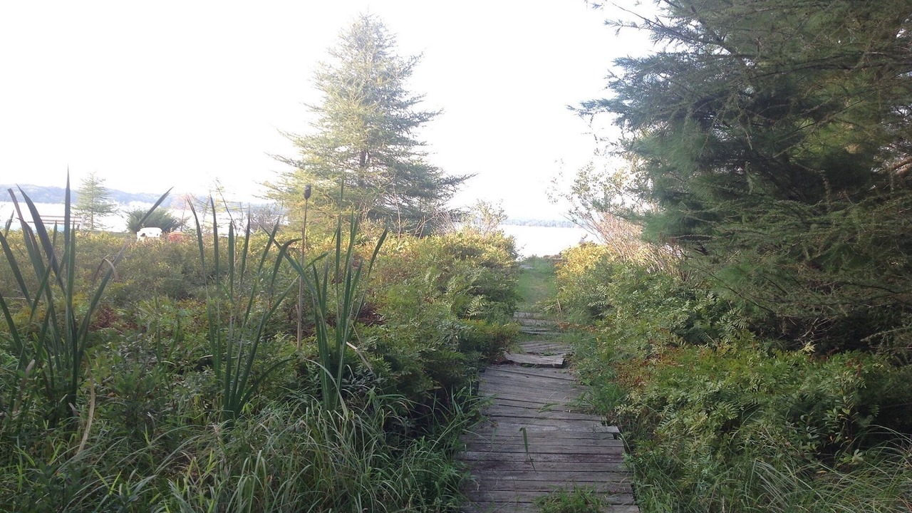 Photo of Outdoor in Manistee