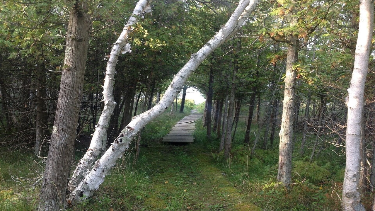 Photo of Outdoor in Manistee
