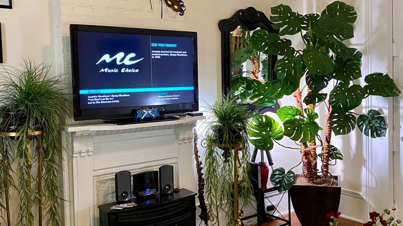 Photo of Livingroom in Bywater