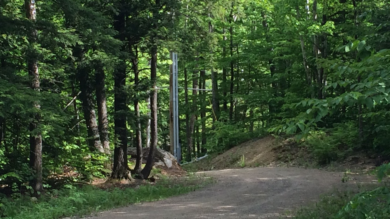 Photo of Outdoor in Bartlett