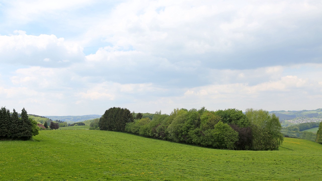 Photo of Outdoor in Overath