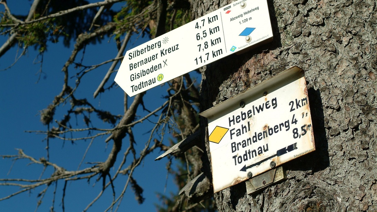 Photo of Outdoor in Fahl