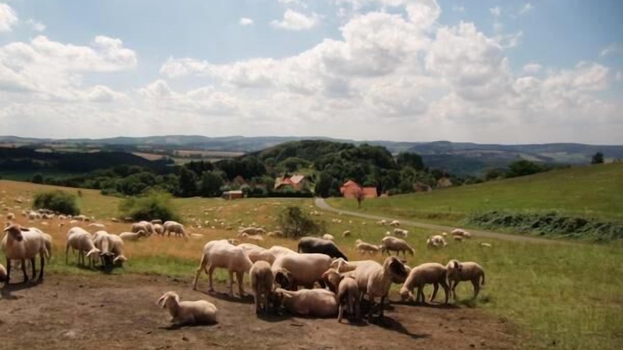 Photo of Others in Bremke