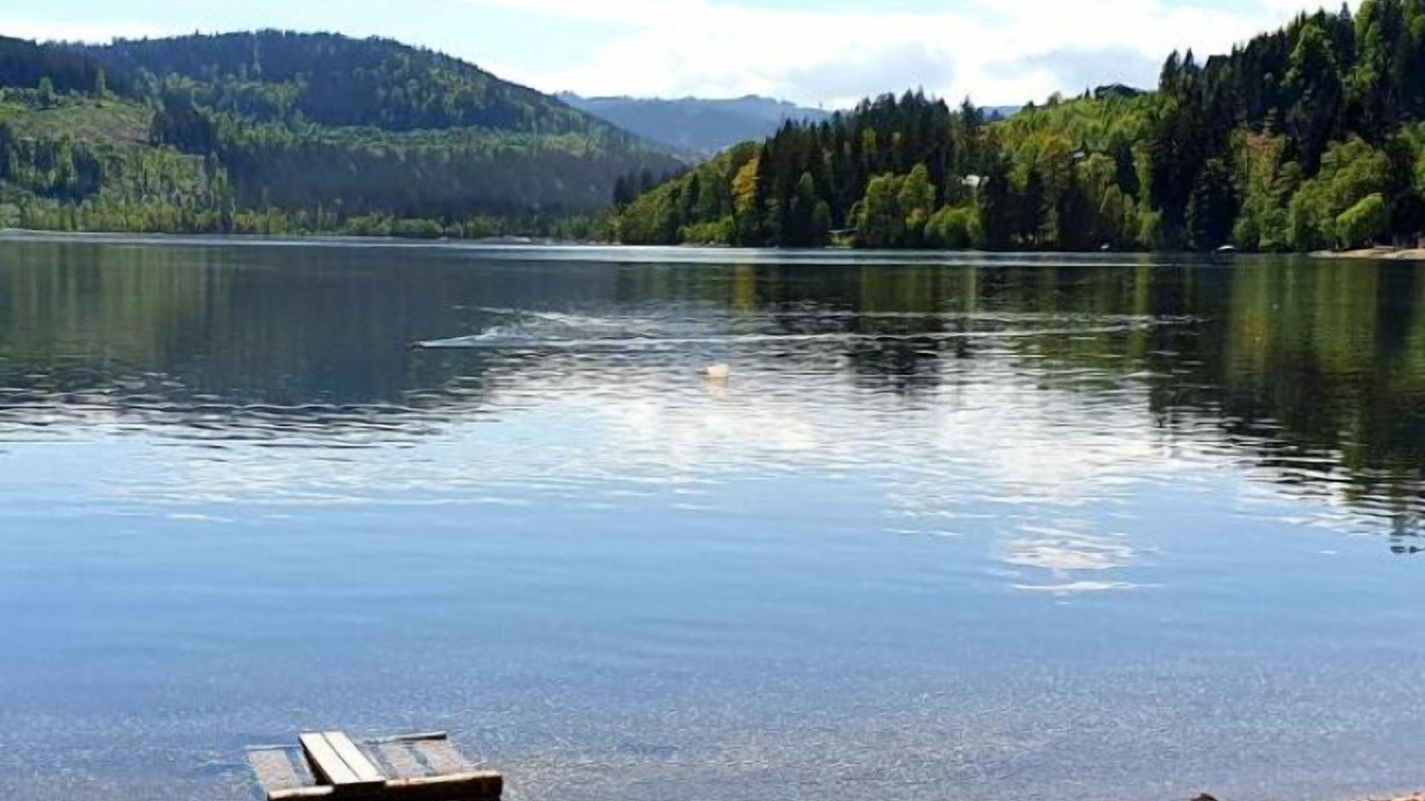 Photo of Others in Titisee-Neustadt