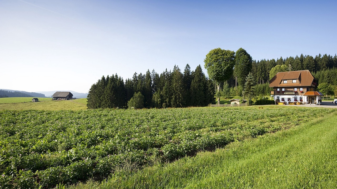 Photo of Outdoor in Waldau