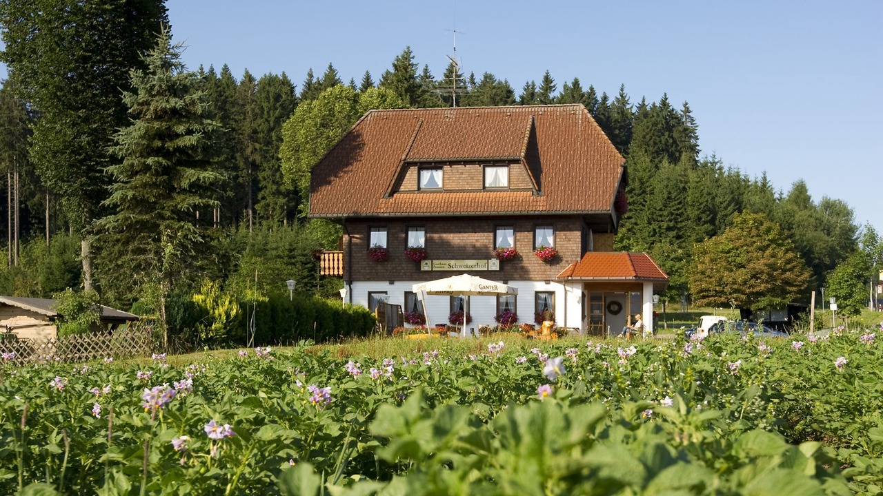 Photo of Outdoor in Waldau