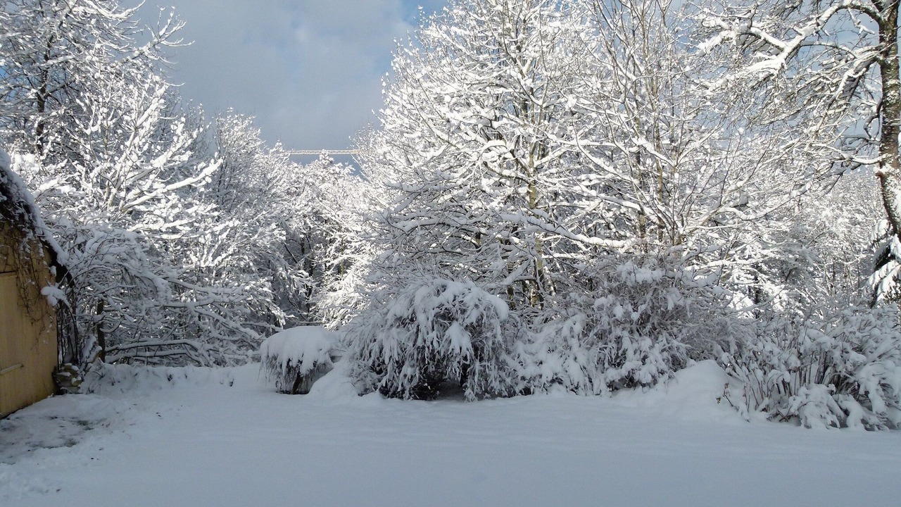Photo of Outdoor in Titisee-Neustadt