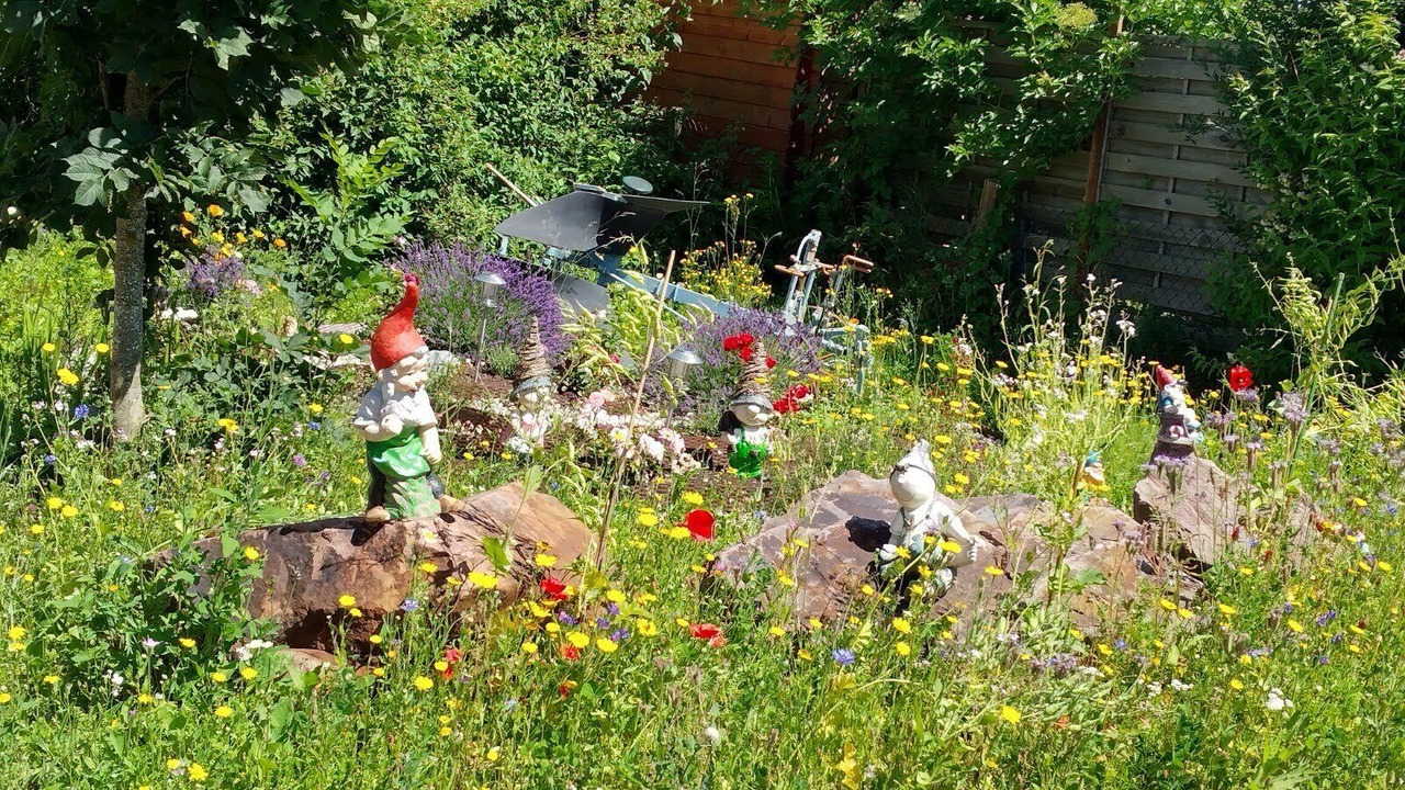 Photo of Outdoor in Titisee-Neustadt