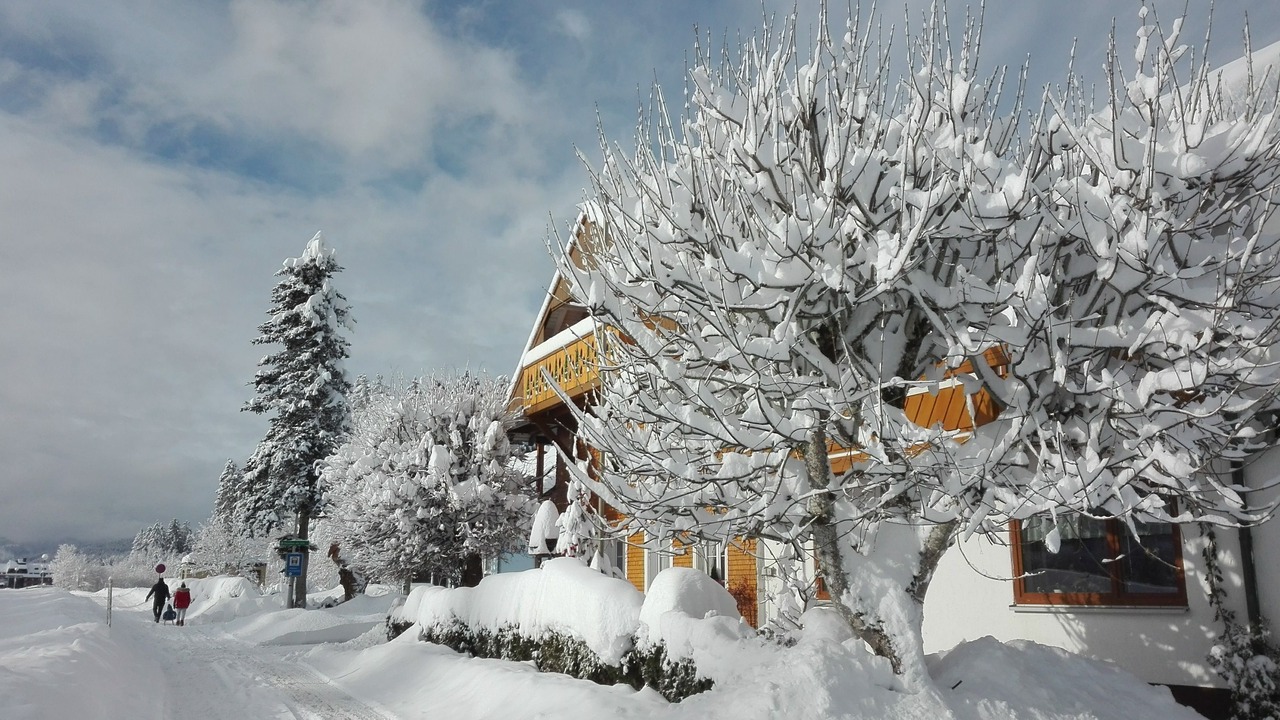 Photo of Outdoor in Titisee-Neustadt