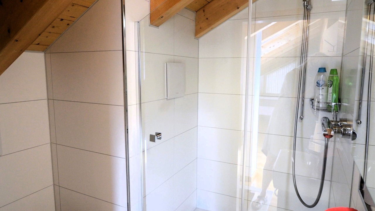 Photo of Bathroom in Lauterbrunnen