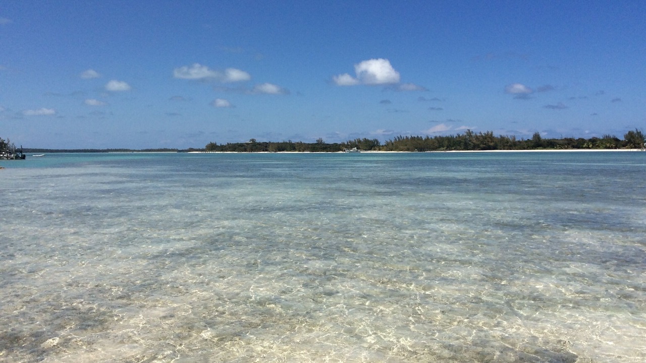 Photo of Others in Green Turtle Cay