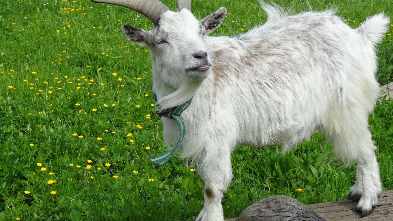 Photo of Outdoor in Tettnang