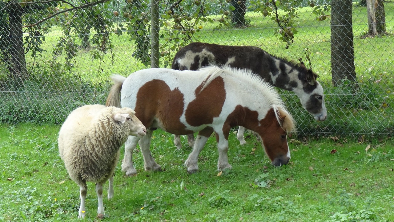 Photo of Outdoor in Tettnang