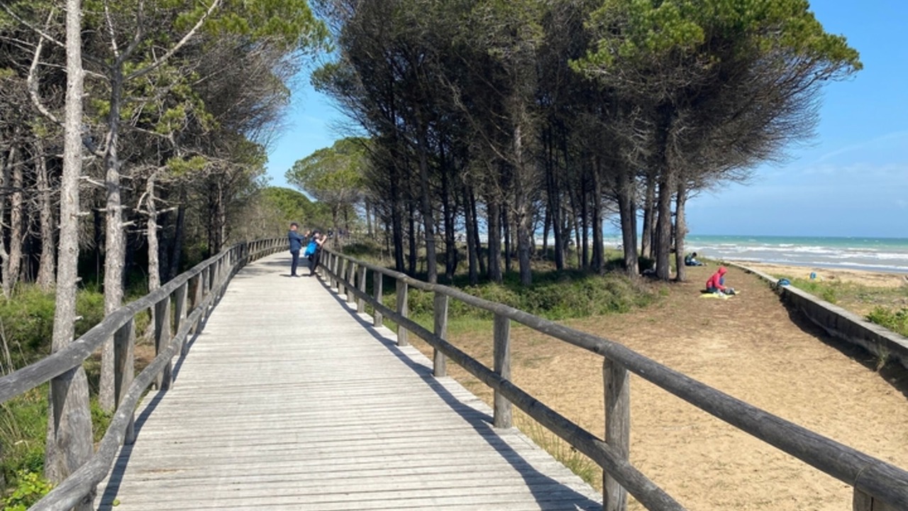 Photo of Others in Bibione Lido dei Pini