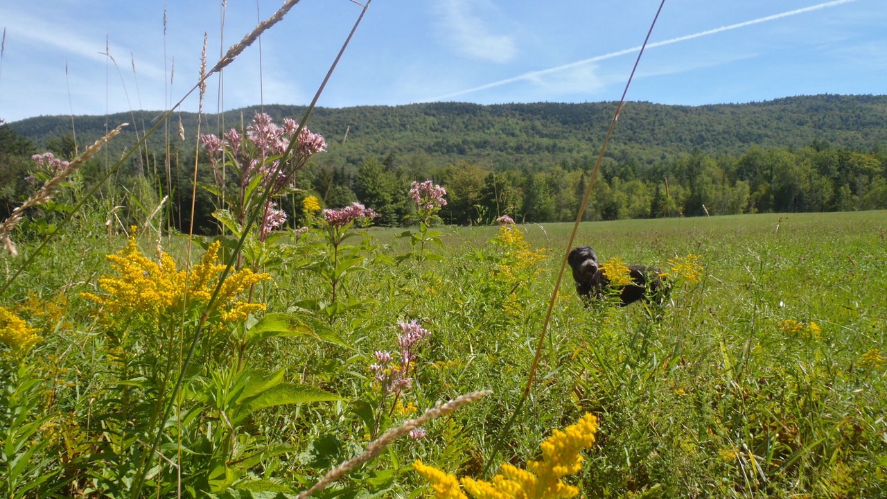 Photo of Outdoor in Granville