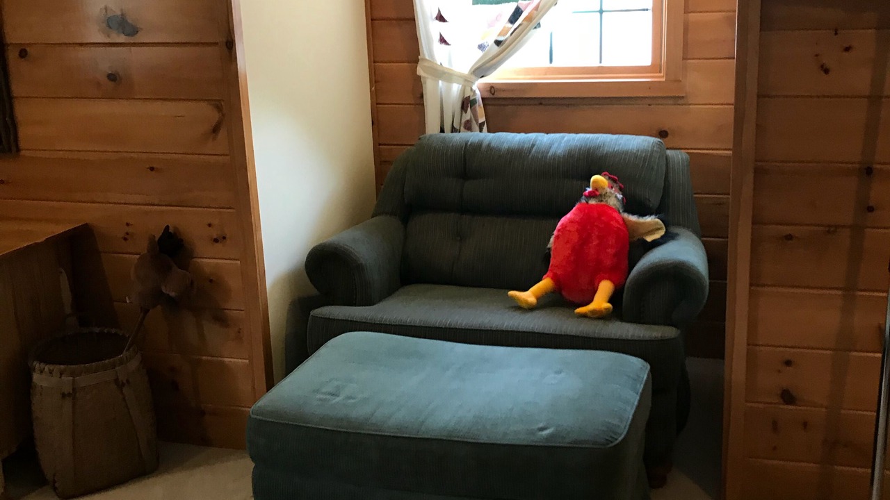 Photo of Livingroom in North Lake George