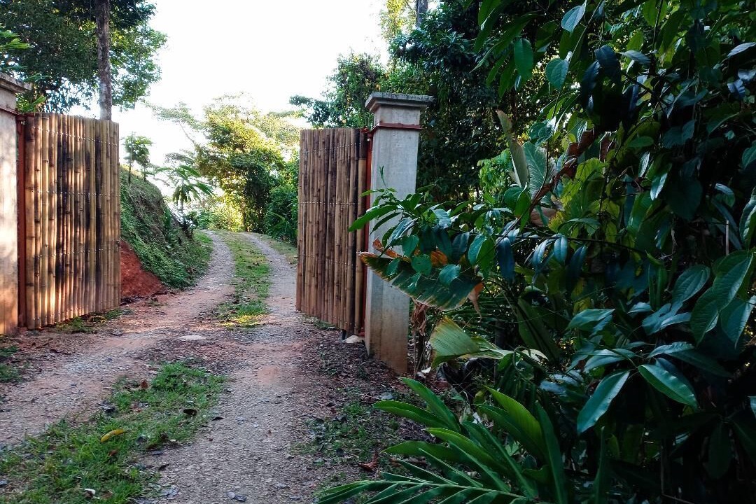 Photo of Others in Uvita