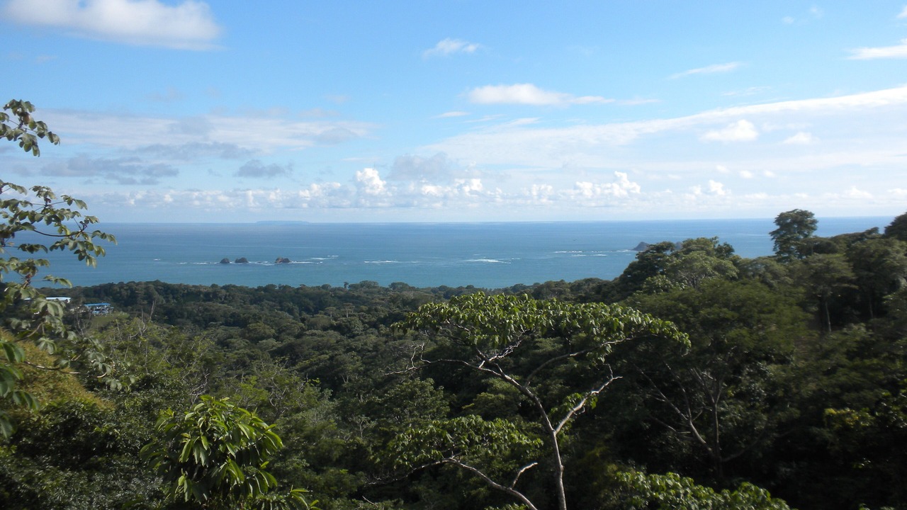 Photo of Others in Uvita