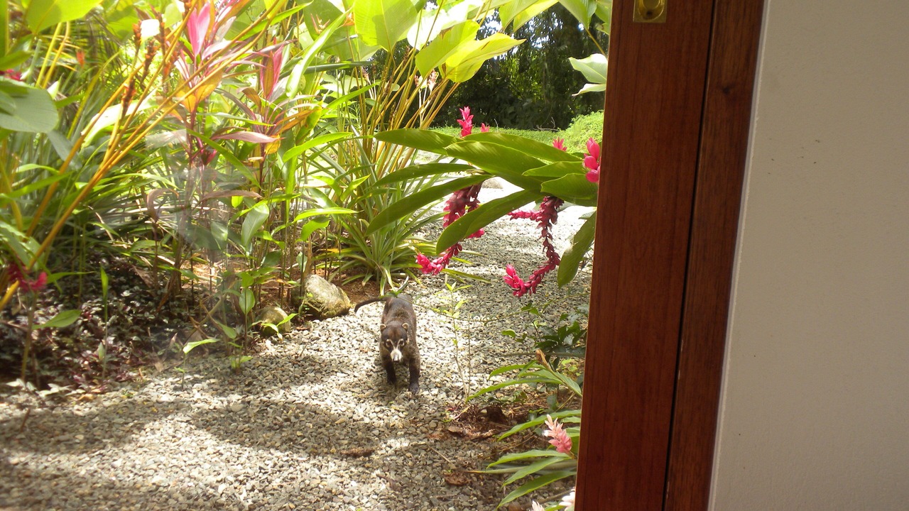 Photo of Outdoor in Uvita