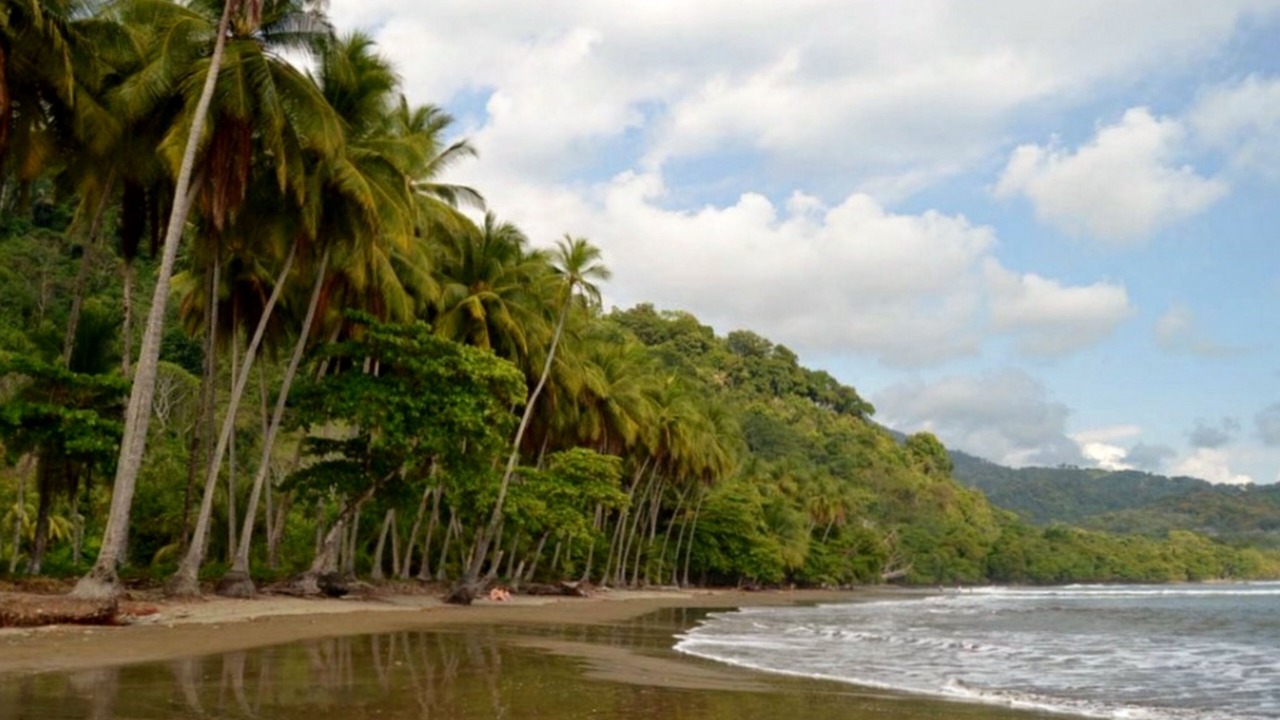 Photo of Others in Uvita