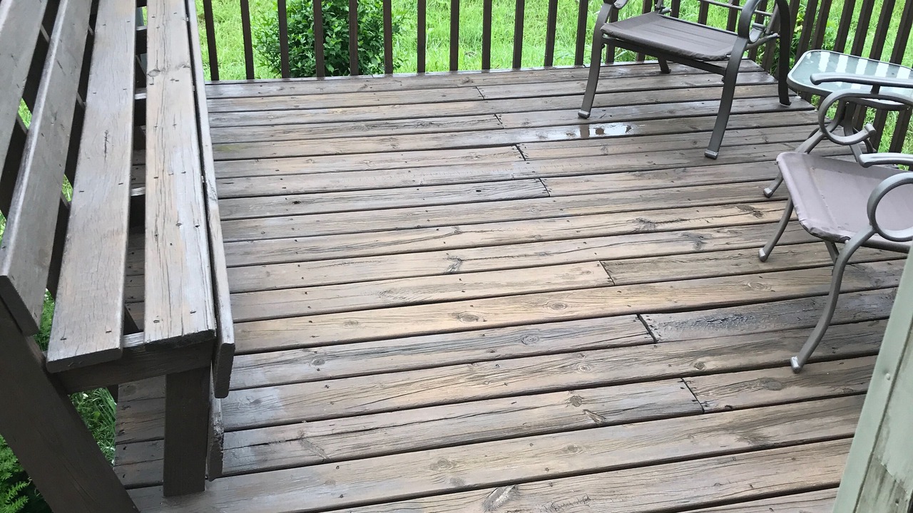 Photo of Outdoor in Traverse City