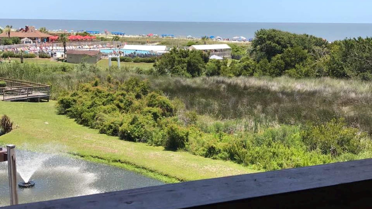 Photo of Outdoor in Folly Field
