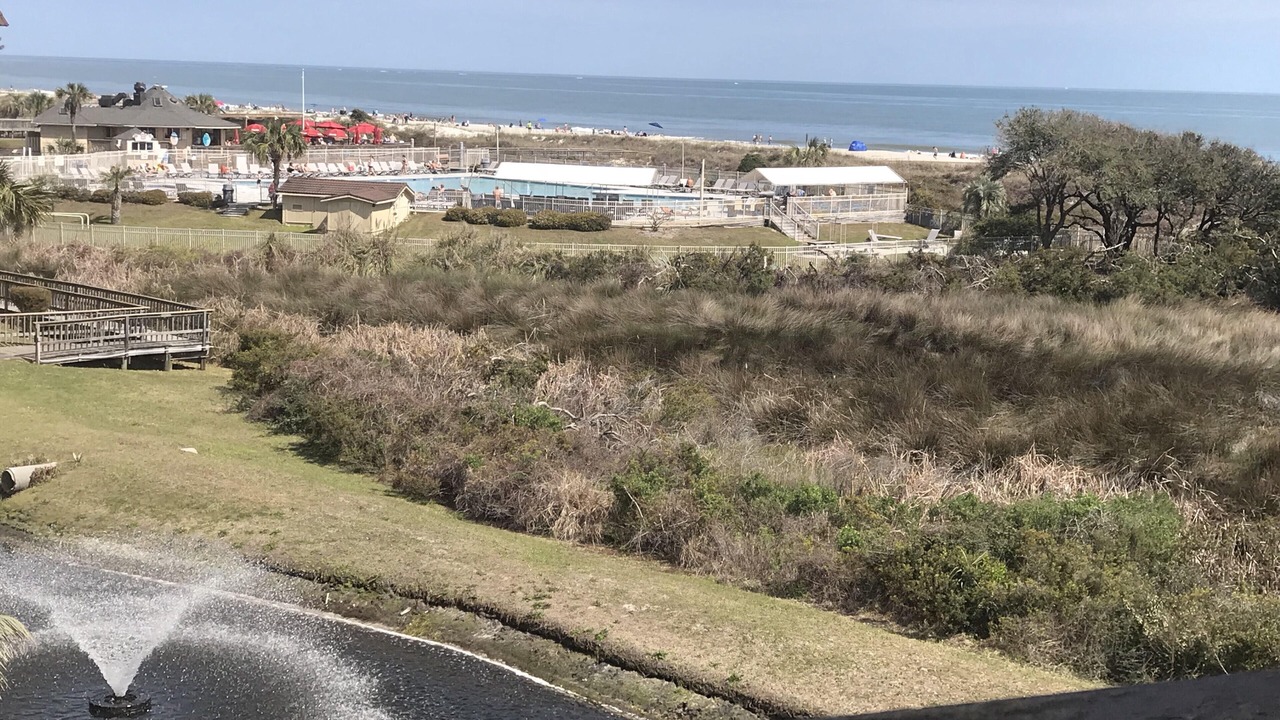 Photo of Others in Folly Field