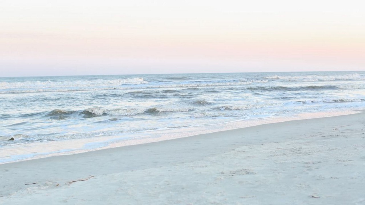 Photo of Others in Folly Field