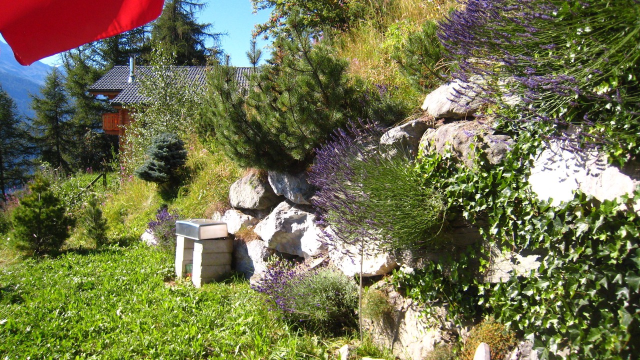Photo of Outdoor in Heremence