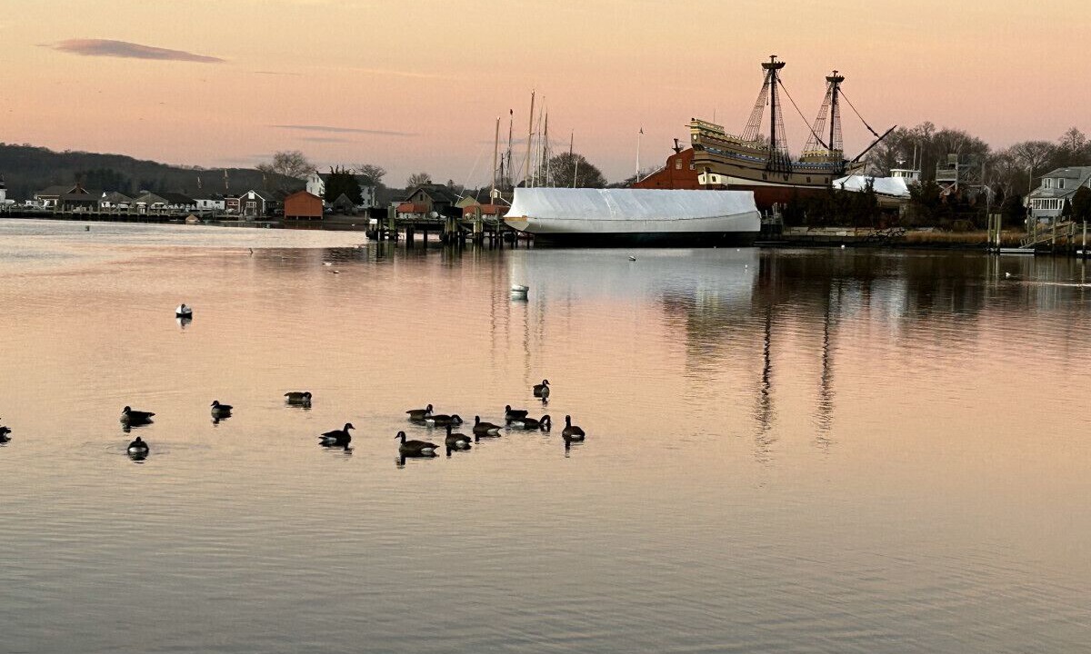 Photo of Others in Mystic