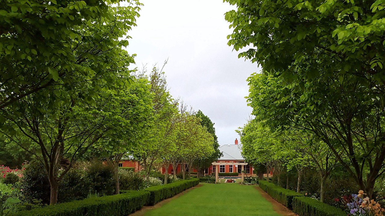 Photo of Outdoor in Arcadia