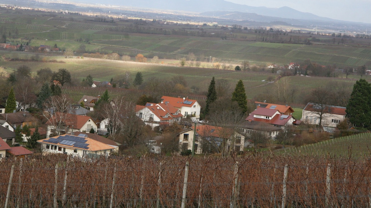 Photo of Outdoor in Britzingen