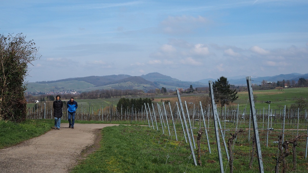Photo of Outdoor in Britzingen