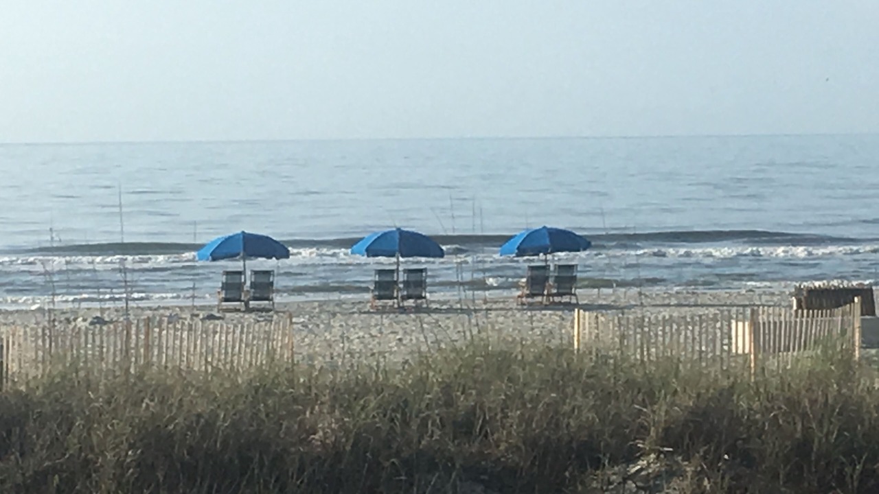 Photo of Others in North Forest Beach