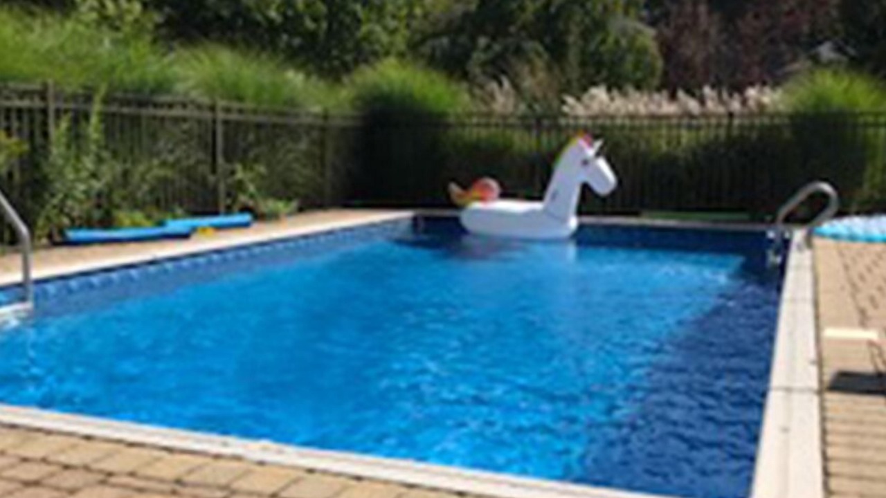 Photo of Outdoor in Swan Lake